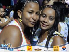 Bloco Skol Folia